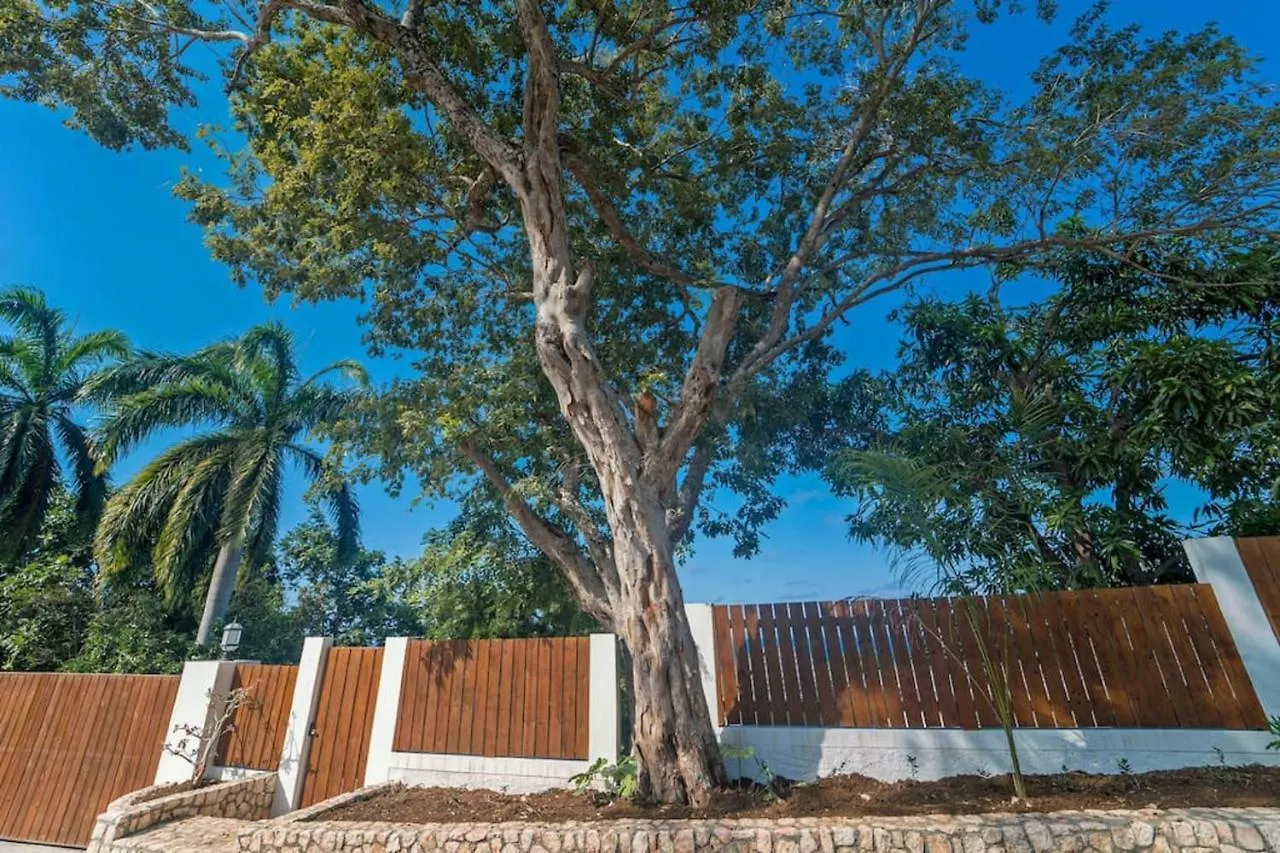 Villa Magnificent 5-Bedroom Estate Villa, Sleeps 12 Montego Bay